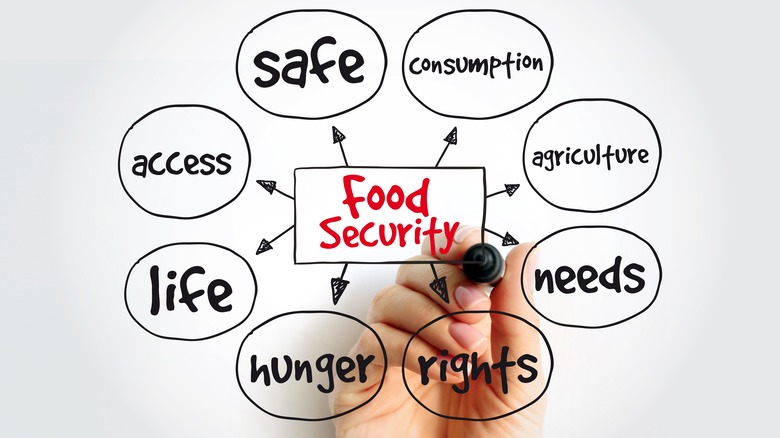 food security chart with 8 factors like hunger listed