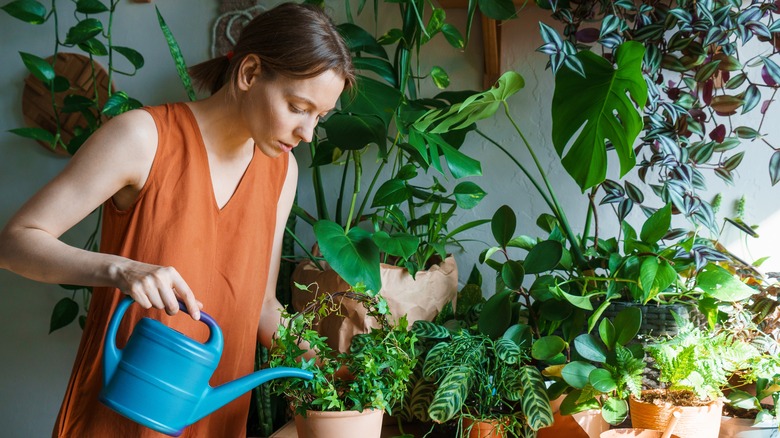 Woman watering plants