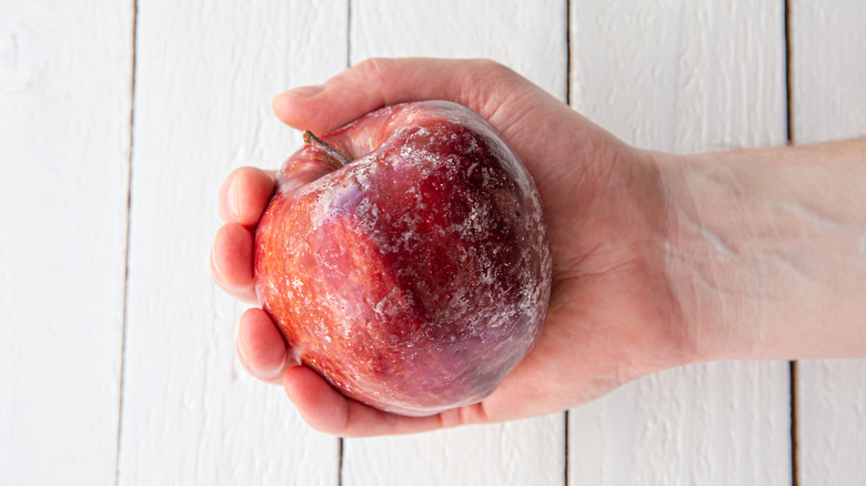 person holding wax coated red apple against white wooden background