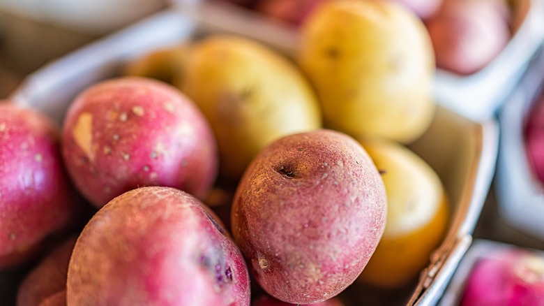 Small new and Yukon Gold potatoes