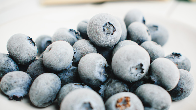 frosty blueberries 