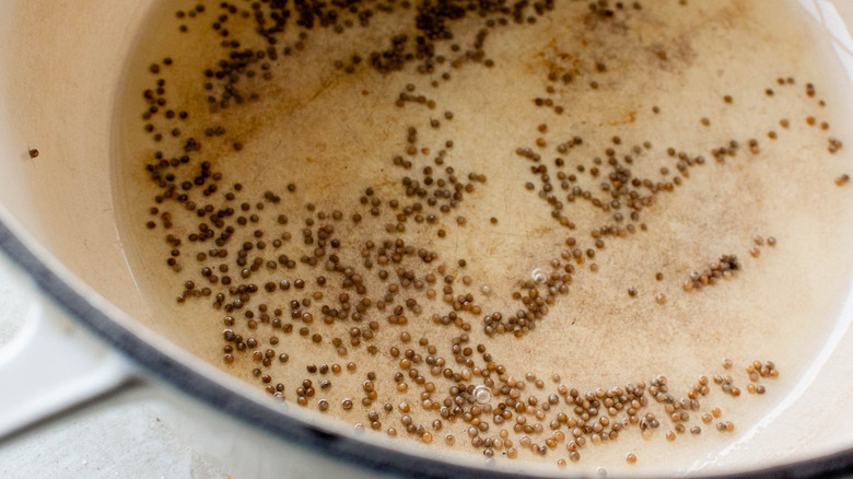 mustard seeds in white pot