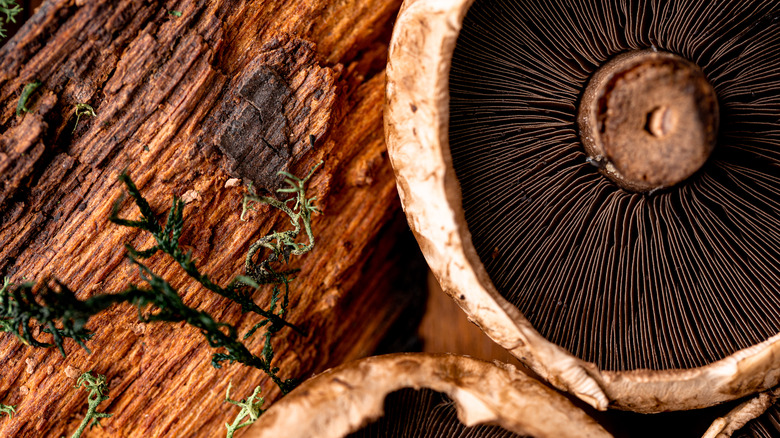 Portobello mushrooms