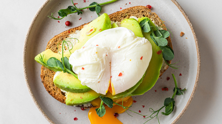 whole wheat avocado toast with egg