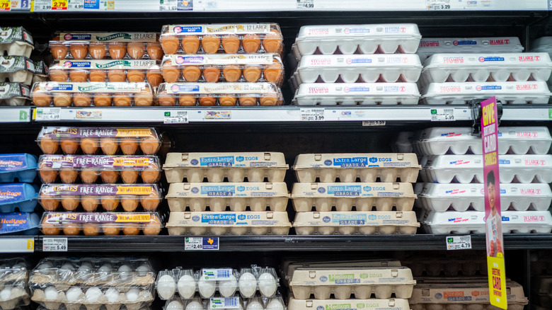 eggs in cartons at grocery store