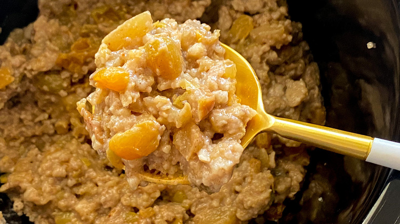 spoonful of oatmeal ready in crockpot