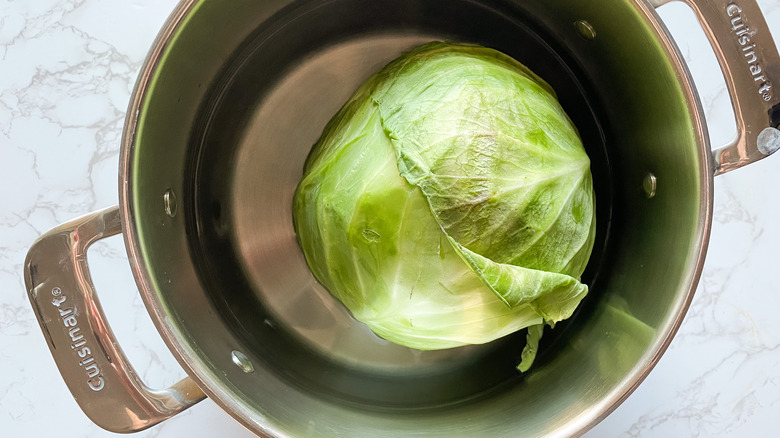 head of cabbage in a pot of water