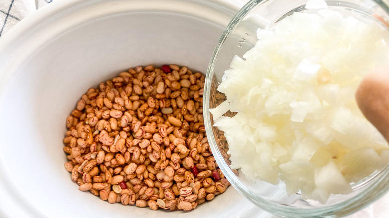 dried pinto beans and onion