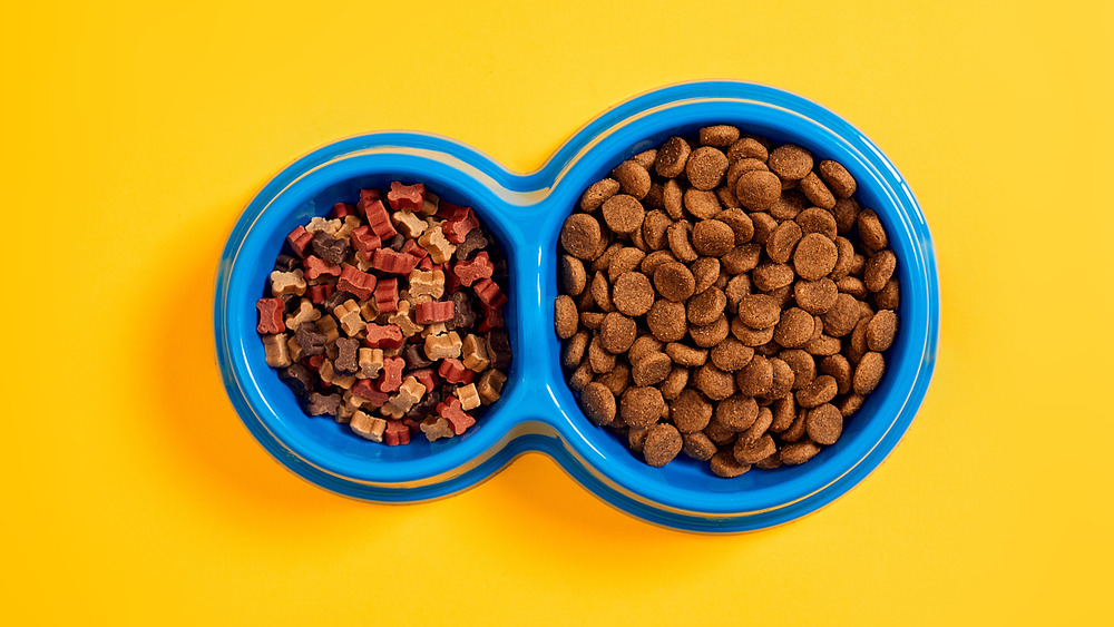 Pet food from dollar store in bowl