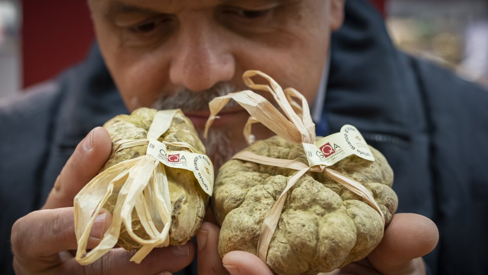 White Truffles at an Italian restaurant