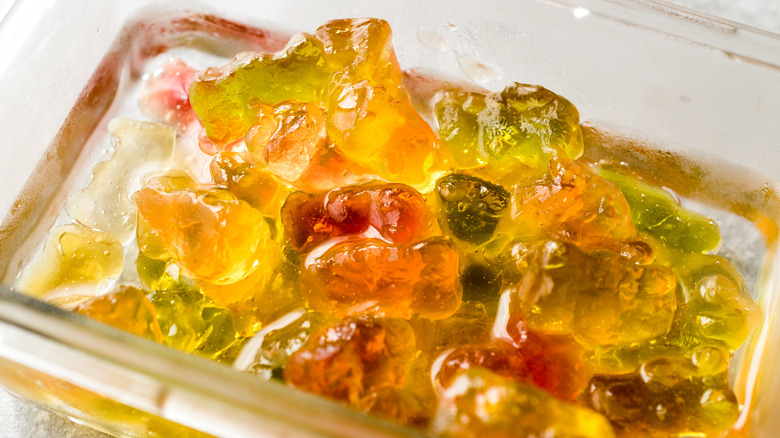 Vodka-soaked gummy bears