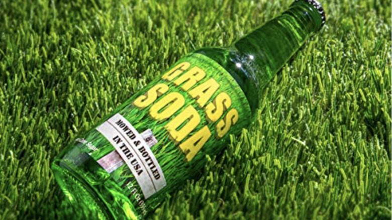 Grass soda bottle in grass