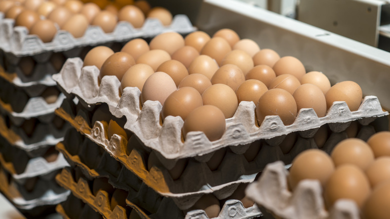 Cartons of brown eggs waiting to be packed