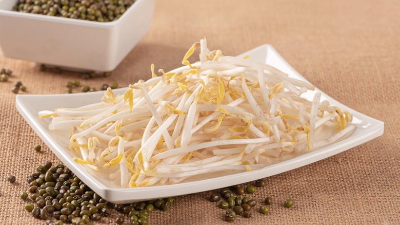 Plate of bean sprouts