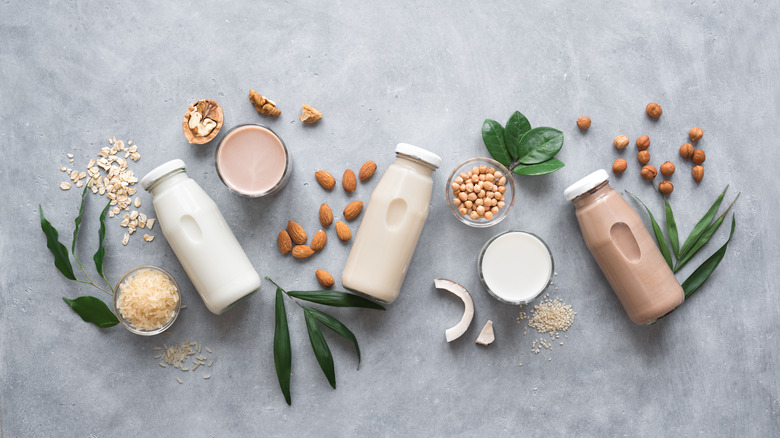 Plant Based/dairy free milk
