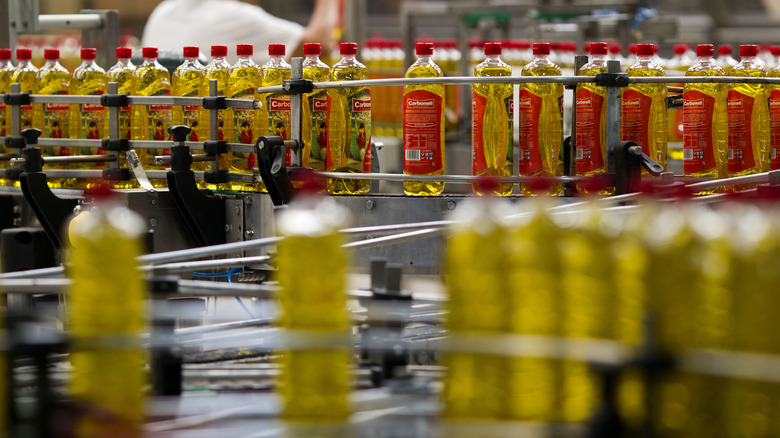 Bottles of Spanish olive oil