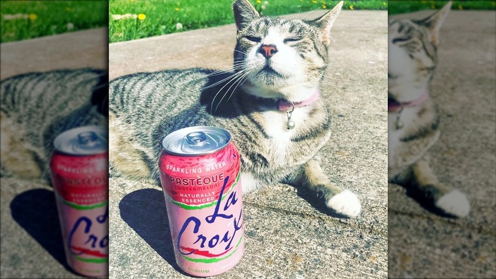 La Croix