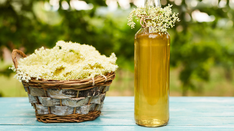 Elderflowers and elderflower liqueur 