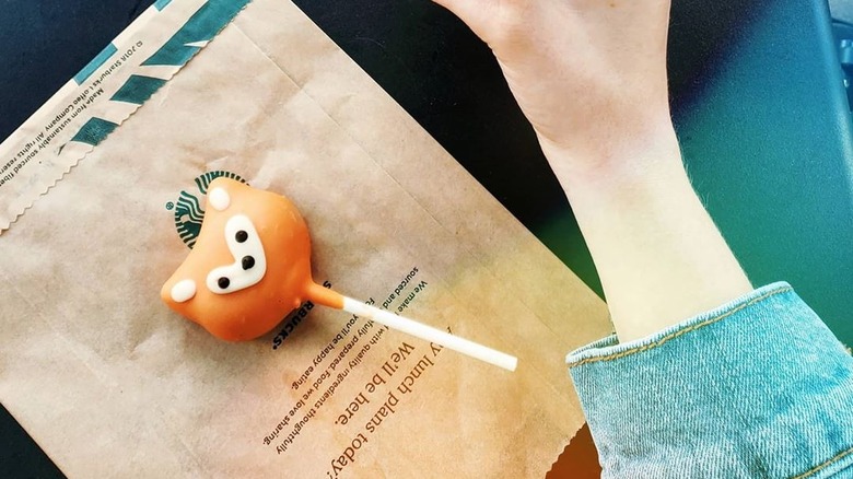 Dog-shaped cake pop from Starbucks