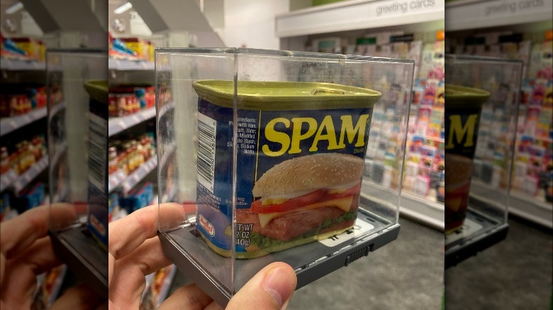 SPAM inside an anti-theft case