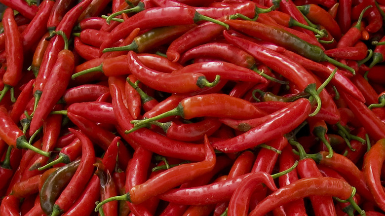 pile of red jalapeño chili peppers