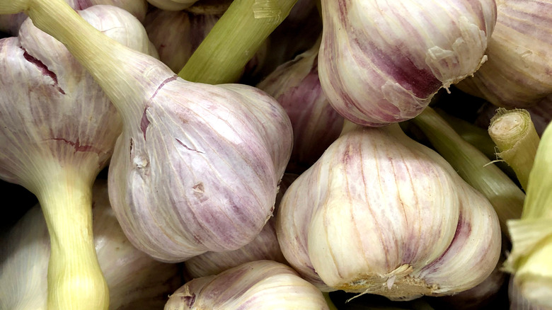 garlic bulbs