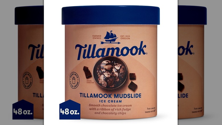 Tillamook Mudslide Ice Cream