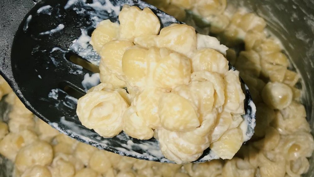 Trader Joe's mac and cheese