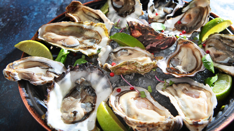 Plate of oysters