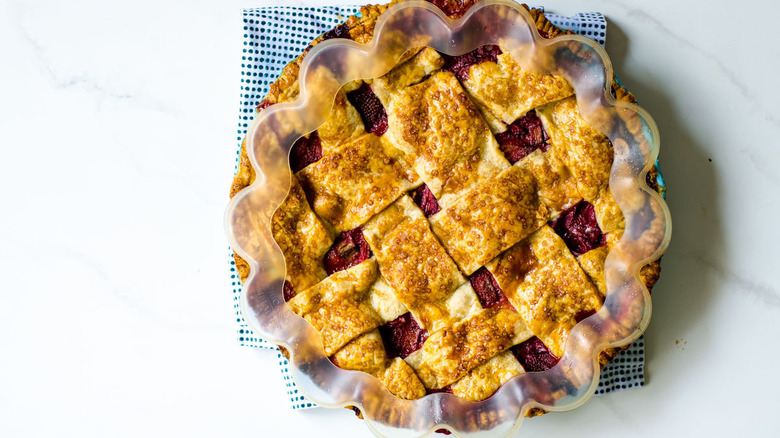 Crust shields on pie