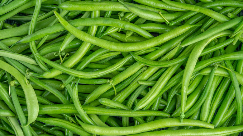 a bunch of string beans