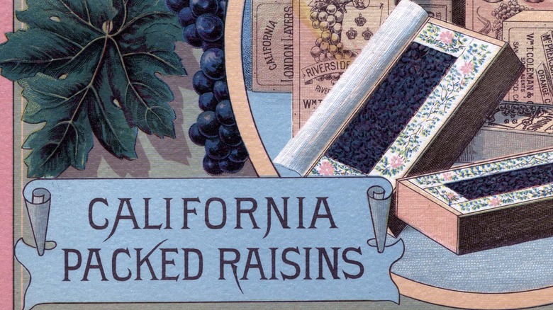 California raisin ad from before co-op formation