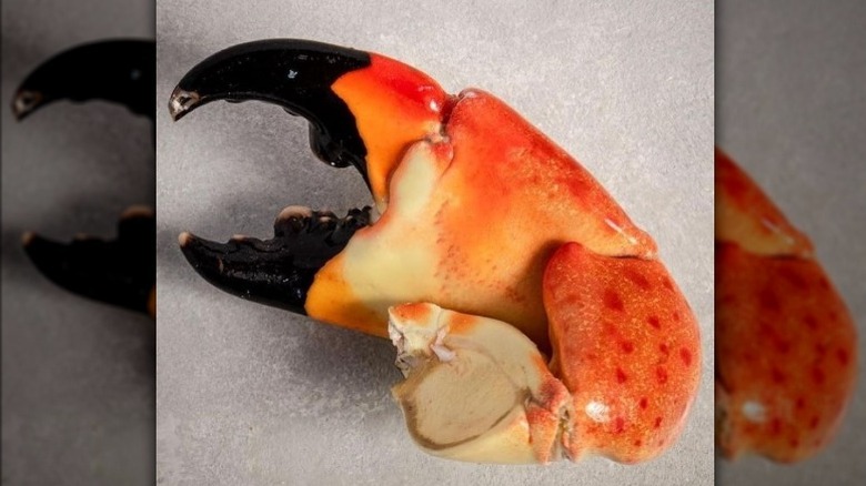 Crab claw