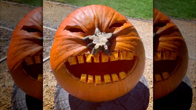 A carved pumpkin