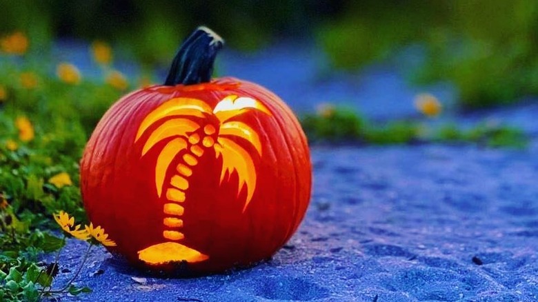 A pumpkin with a palm tree carving