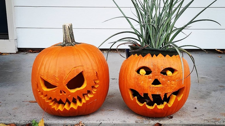 Two carved pumpkins, with one holding a plant