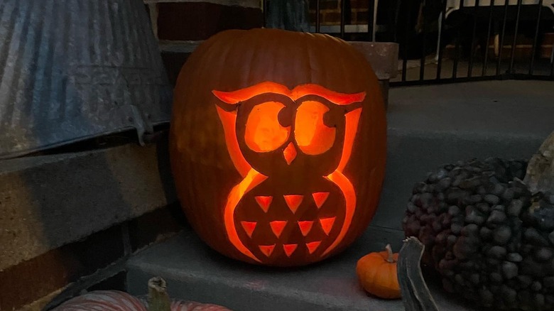 A pumpkin with an owl carved on it