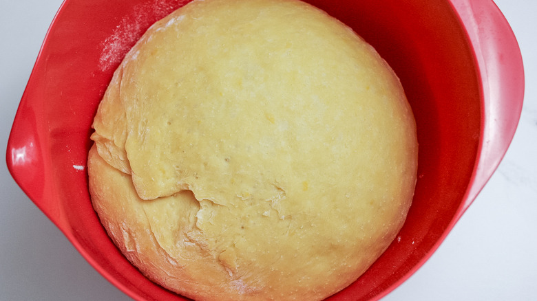 risen dough in bowl