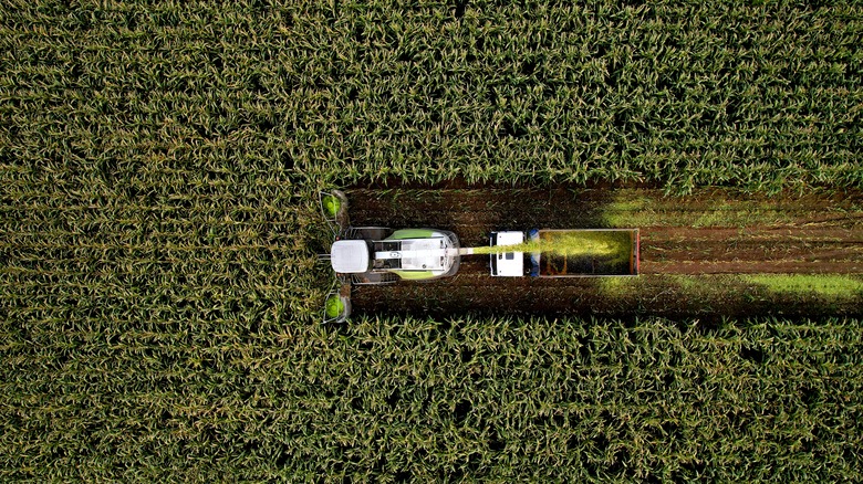 tractor in field 