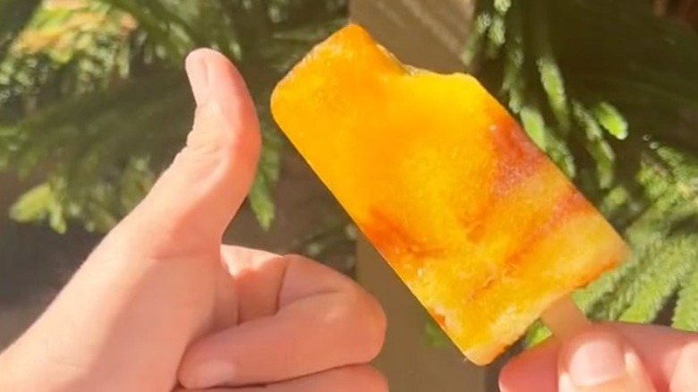 person giving popsicle a thumbs up