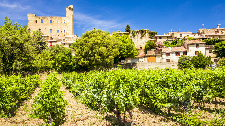 Chateauneuf de Pape wine region