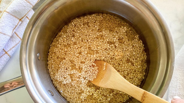cooking rice in saucepan