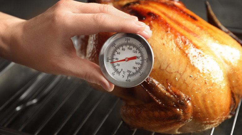 Turkey in oven with thermometer