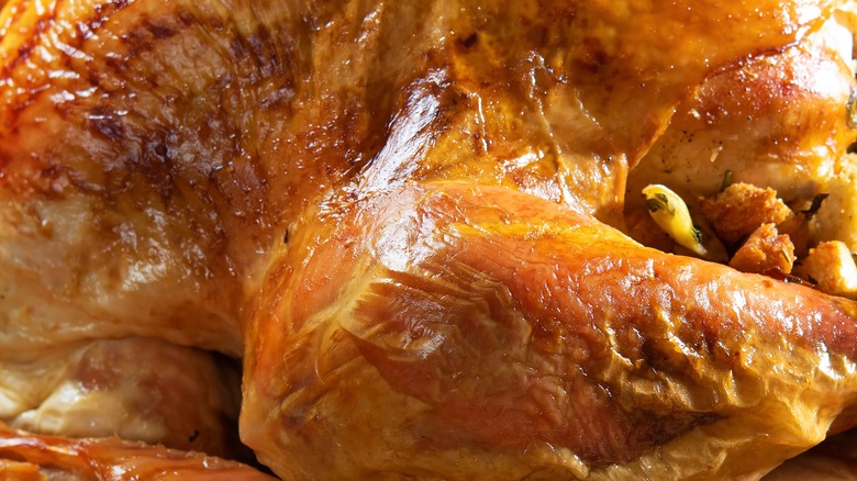 Crispy turkey skin close up