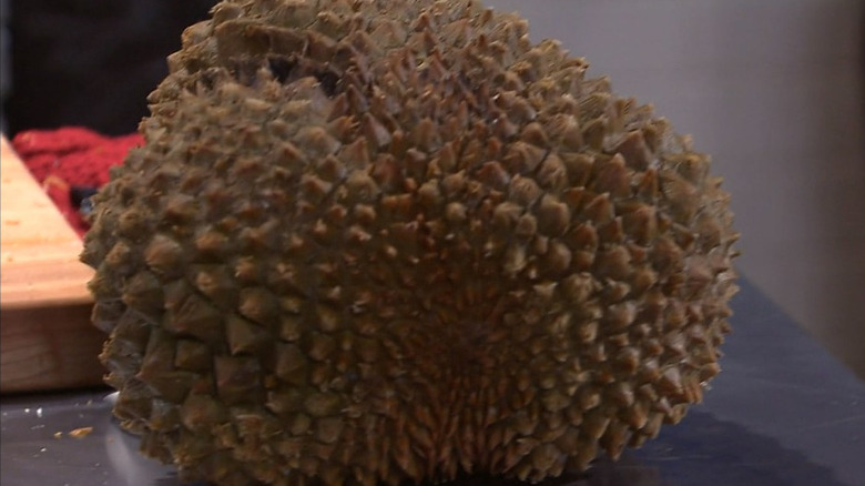 Durian fruit resting on counter