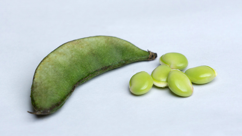 butterbeans or baby limas and pod