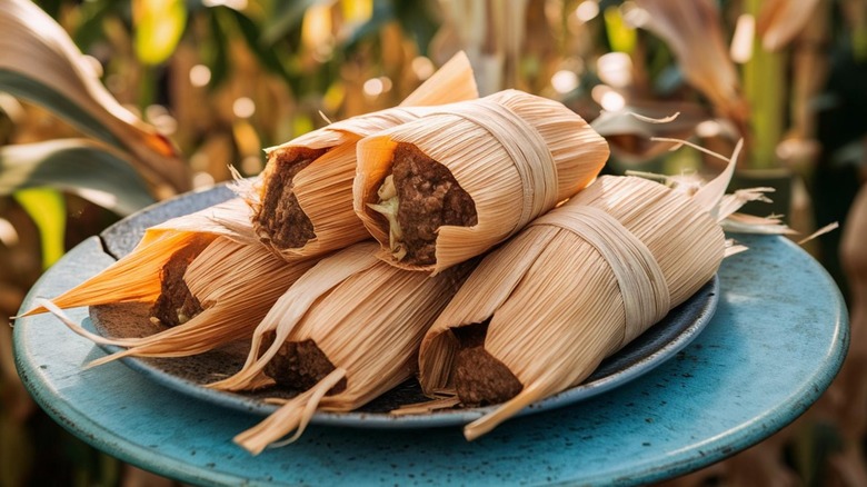 Plate of tamales in cornfield