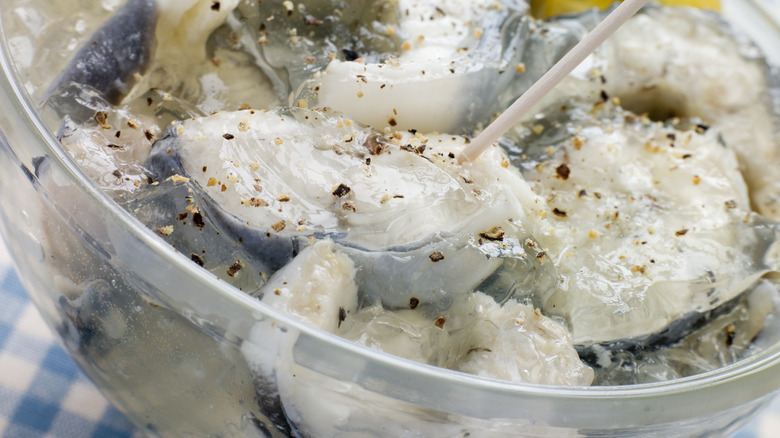 Jellied eel