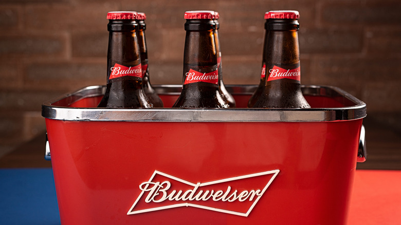 Budweiser beers in ice bucket