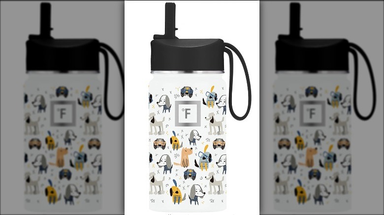 Iron Flask water bottle